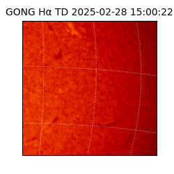 gong - 2025-02-28T15:00:22