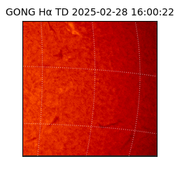 gong - 2025-02-28T16:00:22