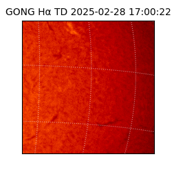 gong - 2025-02-28T17:00:22