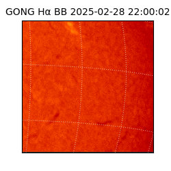 gong - 2025-02-28T22:00:02