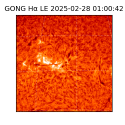 gong - 2025-02-28T01:00:42