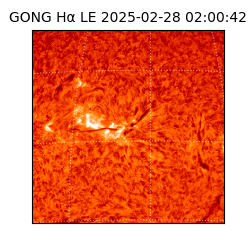 gong - 2025-02-28T02:00:42