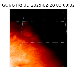 gong - 2025-02-28T03:09:02