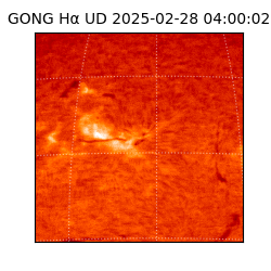 gong - 2025-02-28T04:00:02