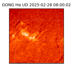 gong - 2025-02-28T08:00:02