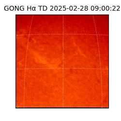 gong - 2025-02-28T09:00:22