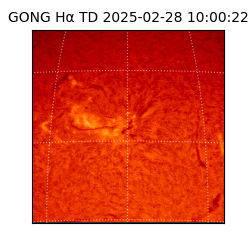 gong - 2025-02-28T10:00:22