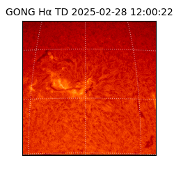 gong - 2025-02-28T12:00:22