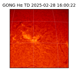 gong - 2025-02-28T16:00:22