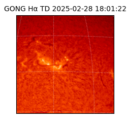 gong - 2025-02-28T18:01:22