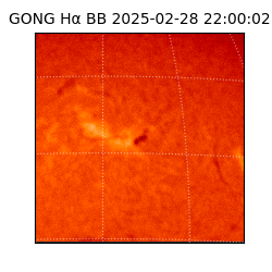 gong - 2025-02-28T22:00:02