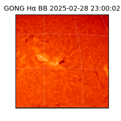 gong - 2025-02-28T23:00:02