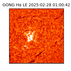 gong - 2025-02-28T01:00:42