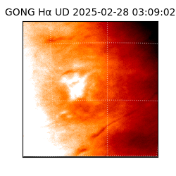gong - 2025-02-28T03:09:02