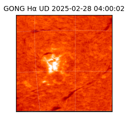 gong - 2025-02-28T04:00:02