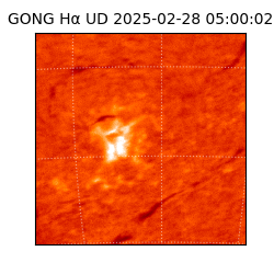 gong - 2025-02-28T05:00:02