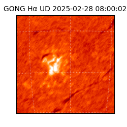 gong - 2025-02-28T08:00:02