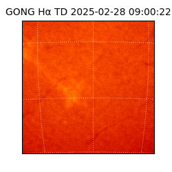 gong - 2025-02-28T09:00:22