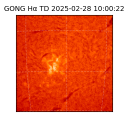 gong - 2025-02-28T10:00:22