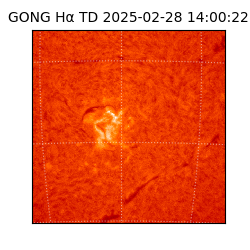 gong - 2025-02-28T14:00:22