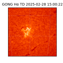 gong - 2025-02-28T15:00:22