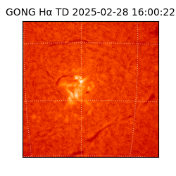 gong - 2025-02-28T16:00:22