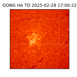 gong - 2025-02-28T17:00:22