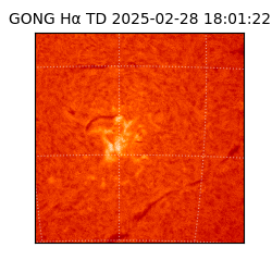 gong - 2025-02-28T18:01:22