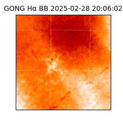 gong - 2025-02-28T20:06:02