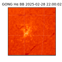 gong - 2025-02-28T22:00:02