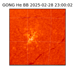 gong - 2025-02-28T23:00:02