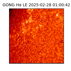 gong - 2025-02-28T01:00:42