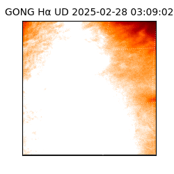 gong - 2025-02-28T03:09:02