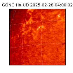 gong - 2025-02-28T04:00:02