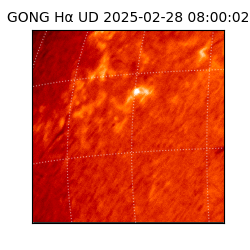 gong - 2025-02-28T08:00:02