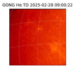 gong - 2025-02-28T09:00:22