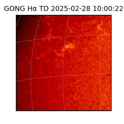 gong - 2025-02-28T10:00:22