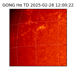 gong - 2025-02-28T12:00:22