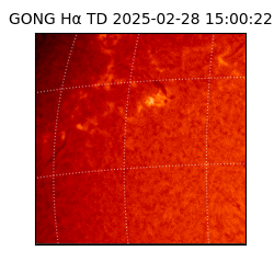 gong - 2025-02-28T15:00:22