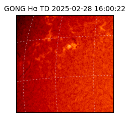 gong - 2025-02-28T16:00:22