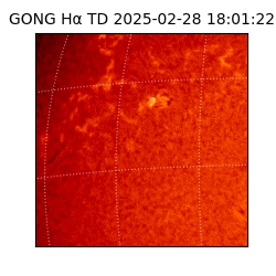 gong - 2025-02-28T18:01:22