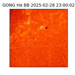 gong - 2025-02-28T23:00:02