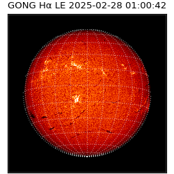 gong - 2025-02-28T01:00:42
