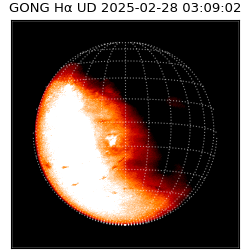 gong - 2025-02-28T03:09:02