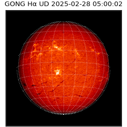 gong - 2025-02-28T05:00:02