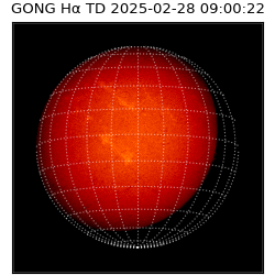 gong - 2025-02-28T09:00:22