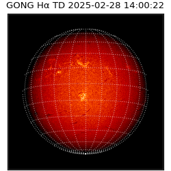 gong - 2025-02-28T14:00:22