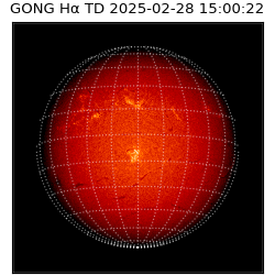 gong - 2025-02-28T15:00:22
