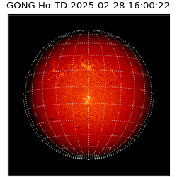 gong - 2025-02-28T16:00:22