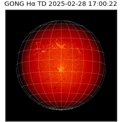 gong - 2025-02-28T17:00:22